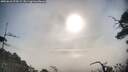 ./images/calvert/fitz-hugh-hecate/20250610/fitz-hugh-hecate20250610_075509M.jpg