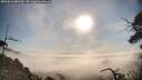 ./images/calvert/fitz-hugh-hecate/20250610/fitz-hugh-hecate20250610_080509M.jpg