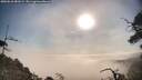 ./images/calvert/fitz-hugh-hecate/20250610/fitz-hugh-hecate20250610_081009M.jpg