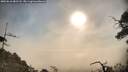 ./images/calvert/fitz-hugh-hecate/20250610/fitz-hugh-hecate20250610_081508M.jpg