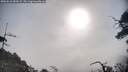 ./images/calvert/fitz-hugh-hecate/20250610/fitz-hugh-hecate20250610_082008M.jpg