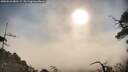 ./images/calvert/fitz-hugh-hecate/20250610/fitz-hugh-hecate20250610_082509M.jpg