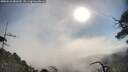 ./images/calvert/fitz-hugh-hecate/20250610/fitz-hugh-hecate20250610_083510M.jpg
