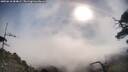 ./images/calvert/fitz-hugh-hecate/20250610/fitz-hugh-hecate20250610_084009M.jpg