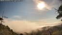 ./images/calvert/fitz-hugh-hecate/20250610/fitz-hugh-hecate20250610_084509M.jpg