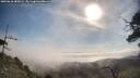 ./images/calvert/fitz-hugh-hecate/20250610/fitz-hugh-hecate20250610_085008M.jpg