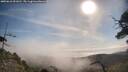 ./images/calvert/fitz-hugh-hecate/20250610/fitz-hugh-hecate20250610_091010M.jpg