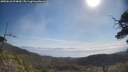 ./images/calvert/fitz-hugh-hecate/20250610/fitz-hugh-hecate20250610_094010M.jpg