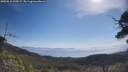 ./images/calvert/fitz-hugh-hecate/20250610/fitz-hugh-hecate20250610_100508M.jpg