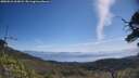 ./images/calvert/fitz-hugh-hecate/20250610/fitz-hugh-hecate20250610_105008M.jpg