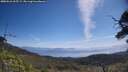 ./images/calvert/fitz-hugh-hecate/20250610/fitz-hugh-hecate20250610_105509M.jpg