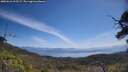 ./images/calvert/fitz-hugh-hecate/20250610/fitz-hugh-hecate20250610_113509M.jpg
