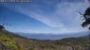 ./images/calvert/fitz-hugh-hecate/20250610/fitz-hugh-hecate20250610_125009M.jpg
