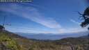 ./images/calvert/fitz-hugh-hecate/20250610/fitz-hugh-hecate20250610_125507M.jpg