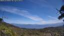 ./images/calvert/fitz-hugh-hecate/20250610/fitz-hugh-hecate20250610_130011M.jpg