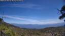 ./images/calvert/fitz-hugh-hecate/20250610/fitz-hugh-hecate20250610_132508M.jpg