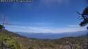 ./images/calvert/fitz-hugh-hecate/20250610/fitz-hugh-hecate20250610_134509M.jpg