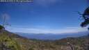 ./images/calvert/fitz-hugh-hecate/20250610/fitz-hugh-hecate20250610_135509M.jpg