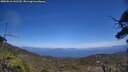 ./images/calvert/fitz-hugh-hecate/20250610/fitz-hugh-hecate20250610_142509M.jpg