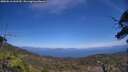 ./images/calvert/fitz-hugh-hecate/20250610/fitz-hugh-hecate20250610_143510M.jpg