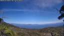 ./images/calvert/fitz-hugh-hecate/20250610/fitz-hugh-hecate20250610_144511M.jpg