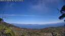 ./images/calvert/fitz-hugh-hecate/20250610/fitz-hugh-hecate20250610_145509M.jpg