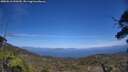./images/calvert/fitz-hugh-hecate/20250610/fitz-hugh-hecate20250610_150509M.jpg