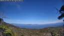 ./images/calvert/fitz-hugh-hecate/20250610/fitz-hugh-hecate20250610_152509M.jpg