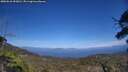 ./images/calvert/fitz-hugh-hecate/20250610/fitz-hugh-hecate20250610_153010M.jpg
