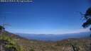 ./images/calvert/fitz-hugh-hecate/20250610/fitz-hugh-hecate20250610_153508M.jpg