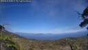 ./images/calvert/fitz-hugh-hecate/20250610/fitz-hugh-hecate20250610_155009M.jpg