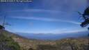 ./images/calvert/fitz-hugh-hecate/20250610/fitz-hugh-hecate20250610_160509M.jpg