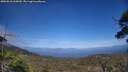 ./images/calvert/fitz-hugh-hecate/20250610/fitz-hugh-hecate20250610_165010M.jpg
