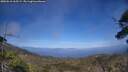 ./images/calvert/fitz-hugh-hecate/20250610/fitz-hugh-hecate20250610_165509M.jpg