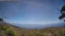 ./images/calvert/fitz-hugh-hecate/20250610/fitz-hugh-hecate20250610_170509M.jpg