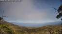 ./images/calvert/fitz-hugh-hecate/20250610/fitz-hugh-hecate20250610_172010M.jpg