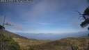 ./images/calvert/fitz-hugh-hecate/20250610/fitz-hugh-hecate20250610_172509M.jpg