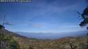 ./images/calvert/fitz-hugh-hecate/20250610/fitz-hugh-hecate20250610_174510M.jpg