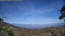 ./images/calvert/fitz-hugh-hecate/20250610/fitz-hugh-hecate20250610_175011M.jpg