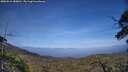 ./images/calvert/fitz-hugh-hecate/20250610/fitz-hugh-hecate20250610_180012M.jpg
