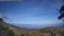 ./images/calvert/fitz-hugh-hecate/20250610/fitz-hugh-hecate20250610_181010M.jpg
