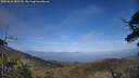 ./images/calvert/fitz-hugh-hecate/20250610/fitz-hugh-hecate20250610_185509M.jpg