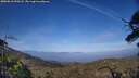 ./images/calvert/fitz-hugh-hecate/20250610/fitz-hugh-hecate20250610_190508M.jpg