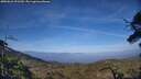 ./images/calvert/fitz-hugh-hecate/20250610/fitz-hugh-hecate20250610_191509M.jpg