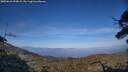 ./images/calvert/fitz-hugh-hecate/20250610/fitz-hugh-hecate20250610_193009M.jpg