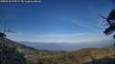 ./images/calvert/fitz-hugh-hecate/20250610/fitz-hugh-hecate20250610_195008M.jpg