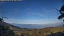 ./images/calvert/fitz-hugh-hecate/20250610/fitz-hugh-hecate20250610_195508M.jpg
