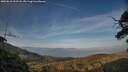 ./images/calvert/fitz-hugh-hecate/20250610/fitz-hugh-hecate20250610_202508M.jpg