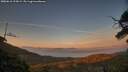 ./images/calvert/fitz-hugh-hecate/20250610/fitz-hugh-hecate20250610_213008M.jpg