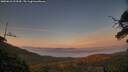./images/calvert/fitz-hugh-hecate/20250610/fitz-hugh-hecate20250610_213509M.jpg